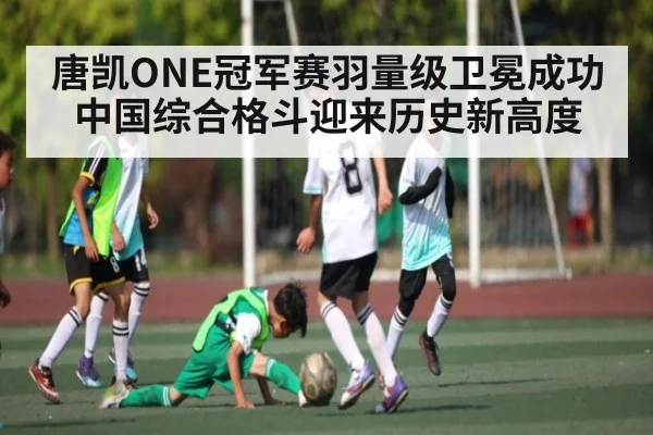 唐凯ONE冠军赛羽量级卫冕成功 中国综合格斗迎来历史新高度